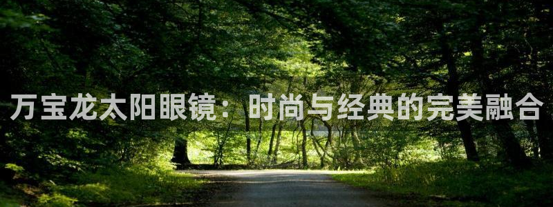 辉达娱乐多少年